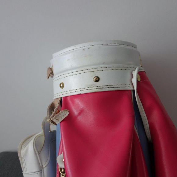 Super Cute Pink White and Blue Golf Bag with Makeup Purse Side Pouch - Picture 4 of 16